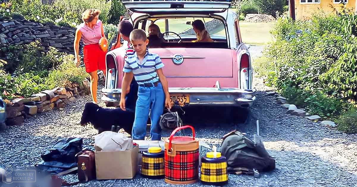 A medium-sized black dog with white chest markings stands in a driveway next to a vintage pink station wagon, surrounded by various bags and lush green shrubs under bright sunlight.