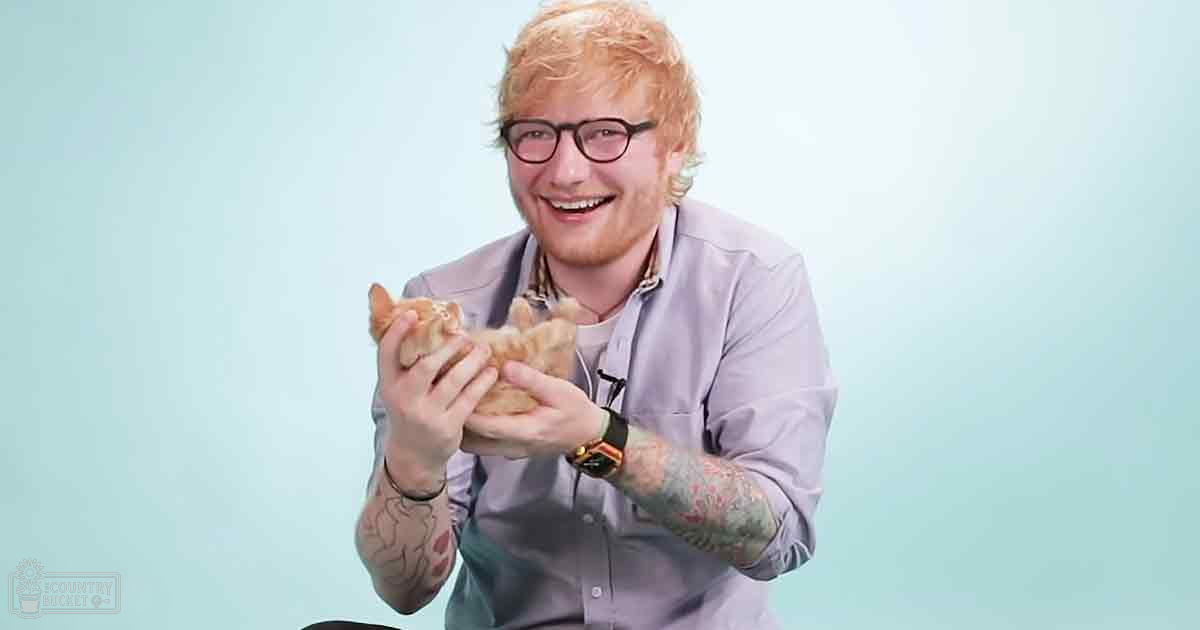 Young adult male holding a tabby kitten in an indoor studio setting with light blue background, artificial lighting.