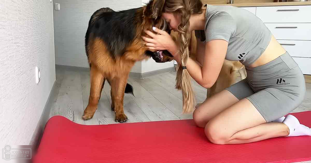 Young adult female in a gray crop top with black logo and gray athletic shorts interacting with an adult German Shepherd dog inside a home environment with natural daylight.