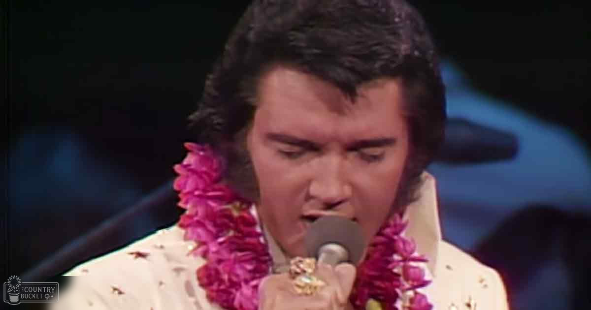 A middle-aged male performer in a concert setting wearing a white, black-dotted garment with sequins, pink flower leis around his neck.