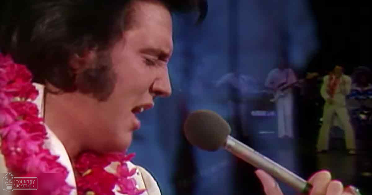A middle-aged male singer wearing a white and gold patterned shirt with a bright pink flower lei, performing into a microphone at an indoor concert setting.
