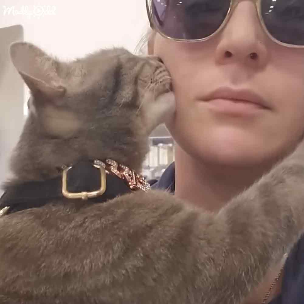 A tabby cat being held by a young adult female in an indoor setting with soft natural light, wearing sunglasses and a dark-colored sweater.