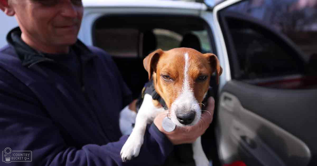 An adult male singer in a dark blue zip-up jacket holding a brown Jack Russell Terrier with white markings, standing outdoors near a silver vehicle on what appears to be a sunny day.