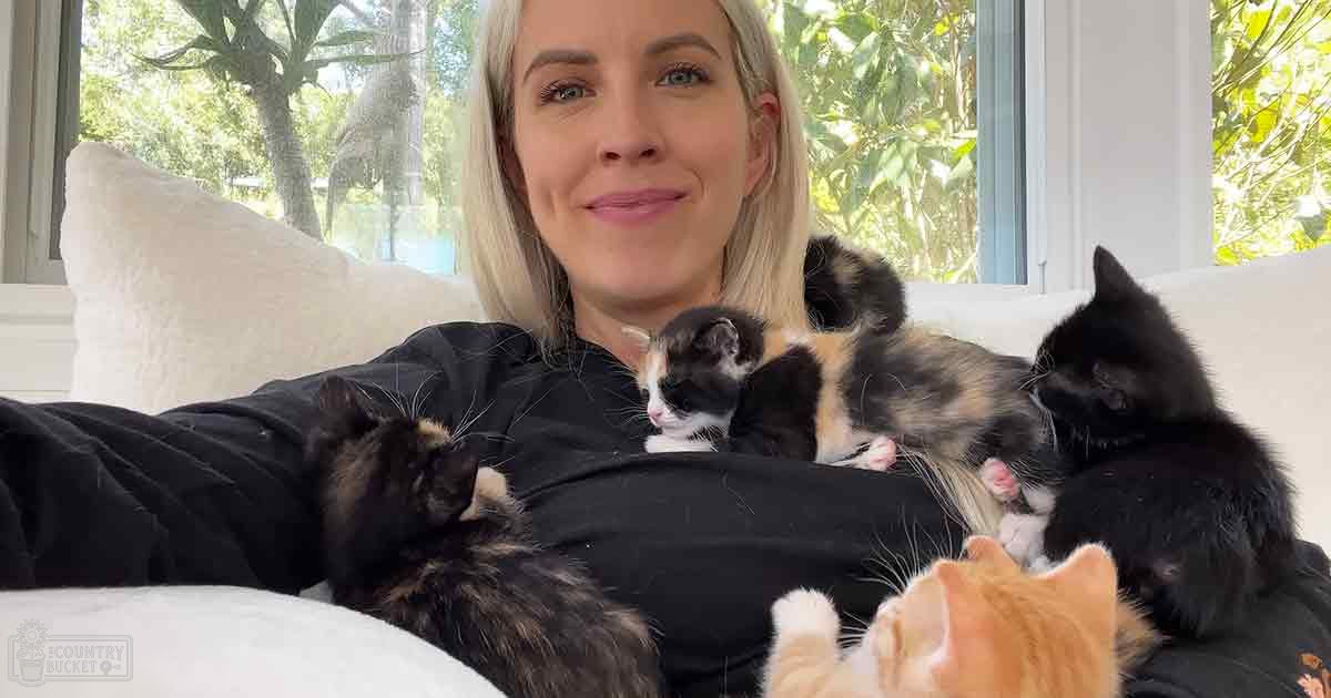 An adult female with long blonde hair in an indoor setting surrounded by several kittens, including a calico cat with white, black, and brown markings, under natural light from large windows showing lush greenery outside suggesting spring or summer.