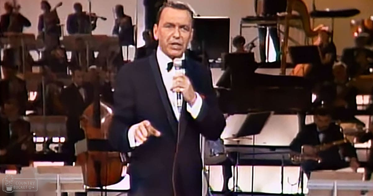 A middle-aged male adult wearing a dark suit jacket, white dress shirt, black bow tie, and holding a microphone performs on stage with an orchestra behind him at what seems to be a concert hall or theater. The setting is well-lit for performance purposes.