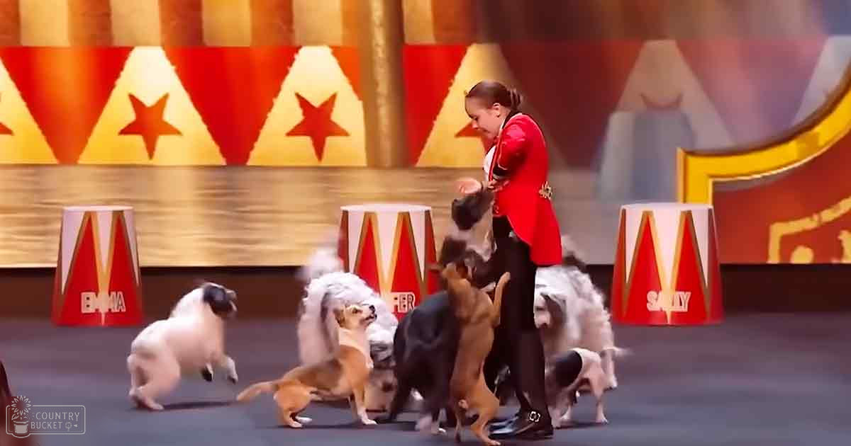 An adult female dog trainer in a red jacket with gold trim and black pants, interacting with various breeds of dogs in what appears to be a circus setting.