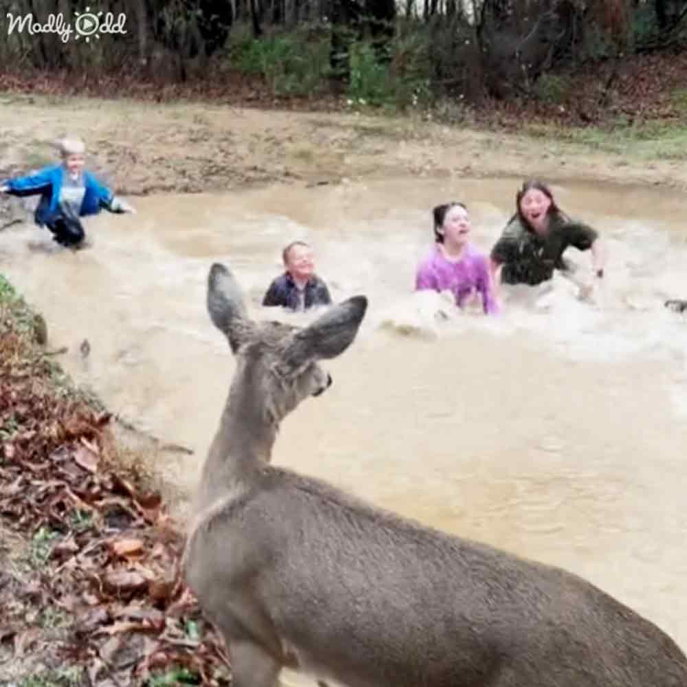 A deer with light brown fur stands in a muddy outdoor area surrounded by four children playing. The scene is set against a backdrop of trees and foliage, suggesting an autumn forest environment.
