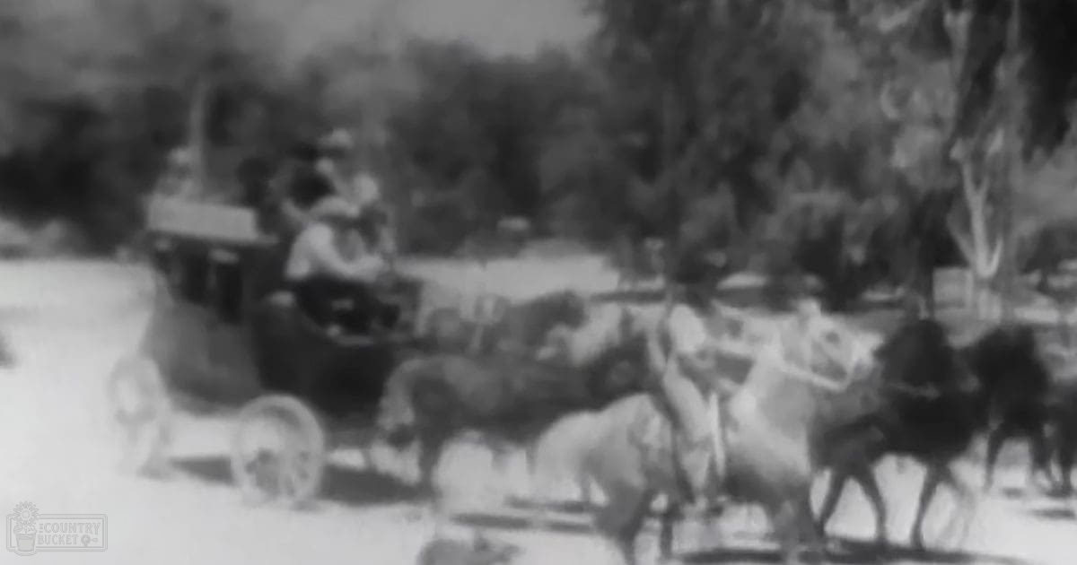 A horse-drawn carriage scene with multiple passengers in period attire from the late 19th century, set against a backdrop of trees and dirt ground under natural light.