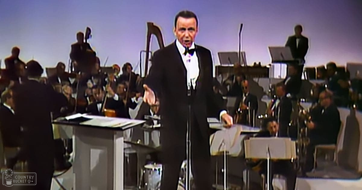 An adult male conductor leading an orchestra, with musicians seated behind him playing violins, cellos, and brass instruments under even bright lighting on a stage resembling a concert hall.