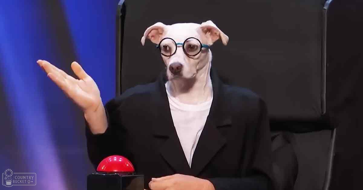 A white dog with large ears wearing round glasses, dressed in human attire, indoors under artificial lighting.