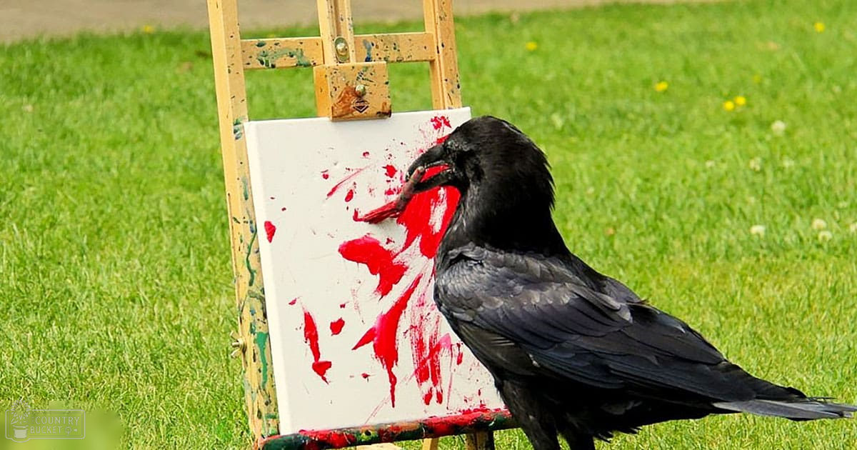 A black crow perched outdoors in a grassy area with greenery and flowers around a white canvas with red paint splatters.