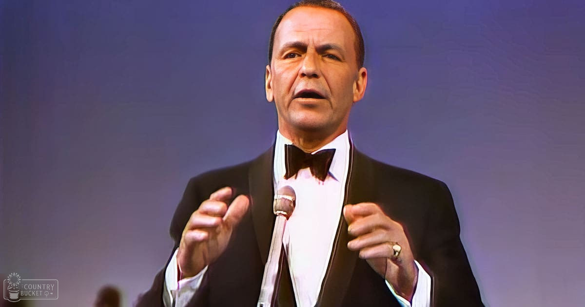 A middle-aged man wearing a formal tuxedo with a bow tie performs on stage, illuminated by stage lighting under a spotlight effect.