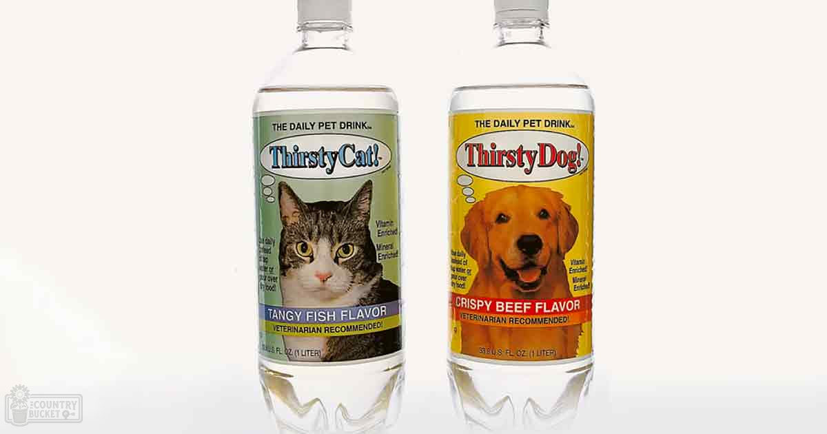 Studio shot highlighting Tangy Fish Flavor Thirsty Cat! pet drink bottle with Vitamin-Enriched label, Crispy Beef Flavor Thirsty Dog! pet drink bottle with Mineral-Enriched label against a plain white background.