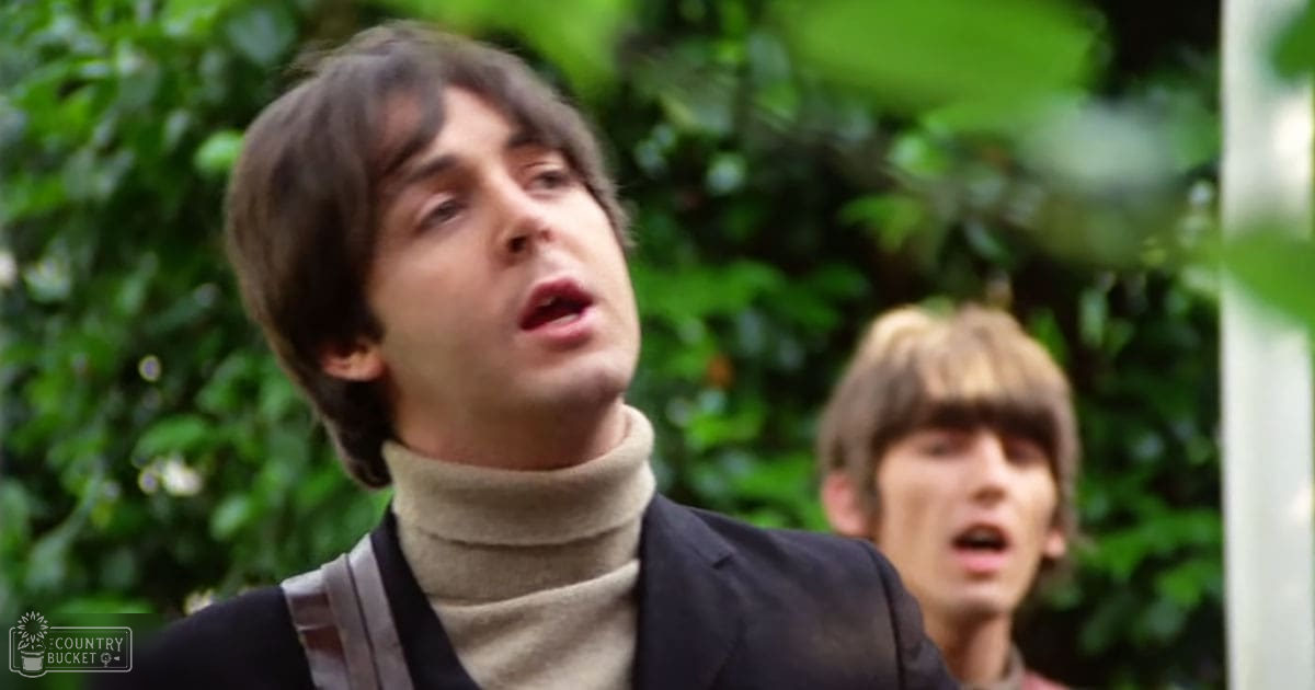 Young adult male wearing a beige turtleneck sweater with brown strap over shoulder stands in an outdoor setting surrounded by lush green foliage under natural daylight, possibly spring or summer.