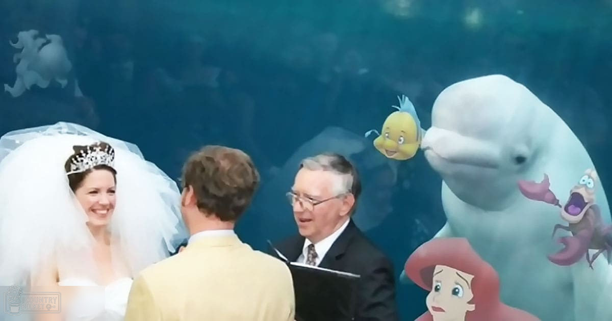 A wedding scene at an aquarium, with a bride in a white gown and veil, a groom in a light suit jacket, and an older male officiant with glasses; beluga whale and 'The Little Mermaid' characters are present underwater.