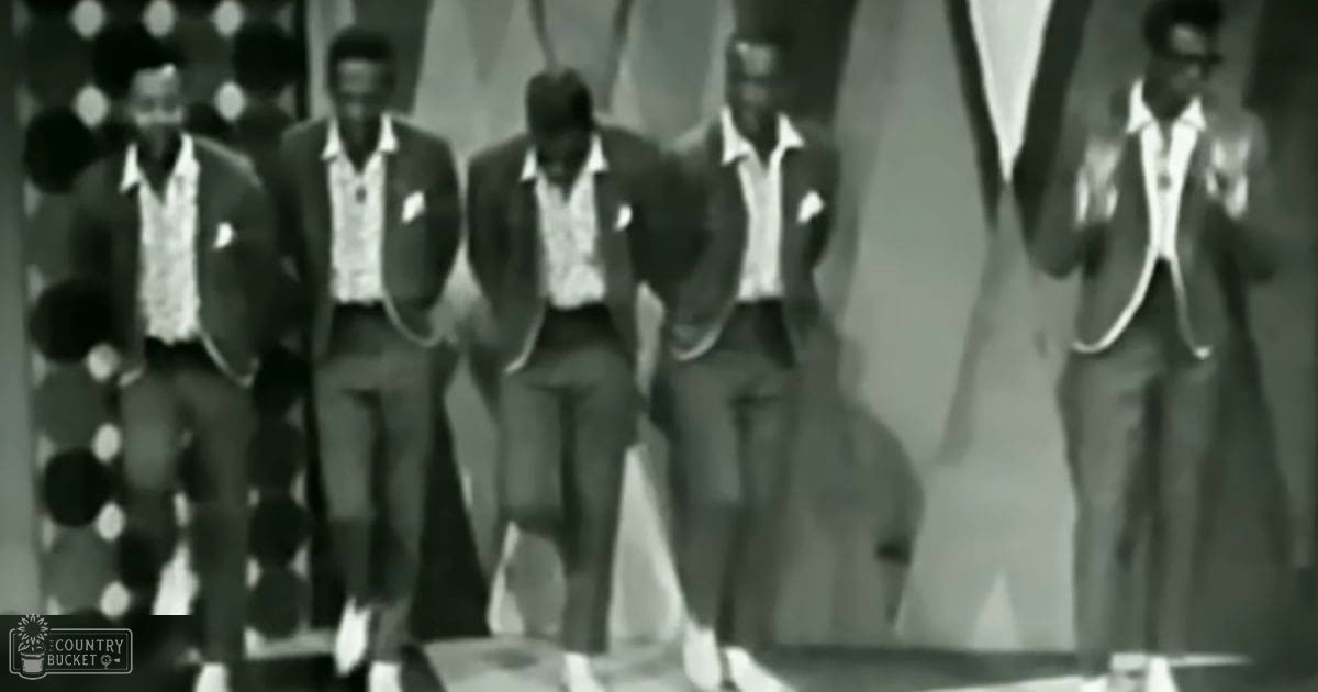 A group of young adults performing in a stylized indoor setting with artificial lighting and a polka-dotted backdrop.