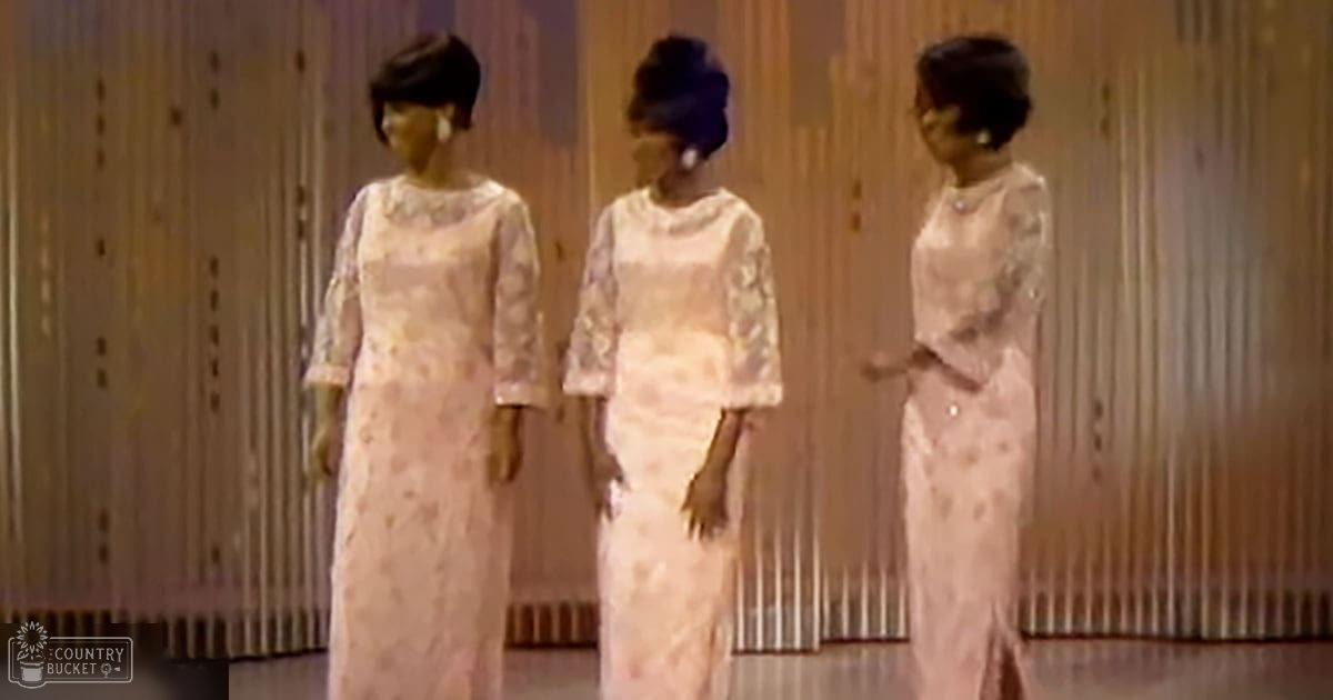 Three adult female individuals wearing light pink lace dresses with floral patterns indoors, possibly at a formal event.