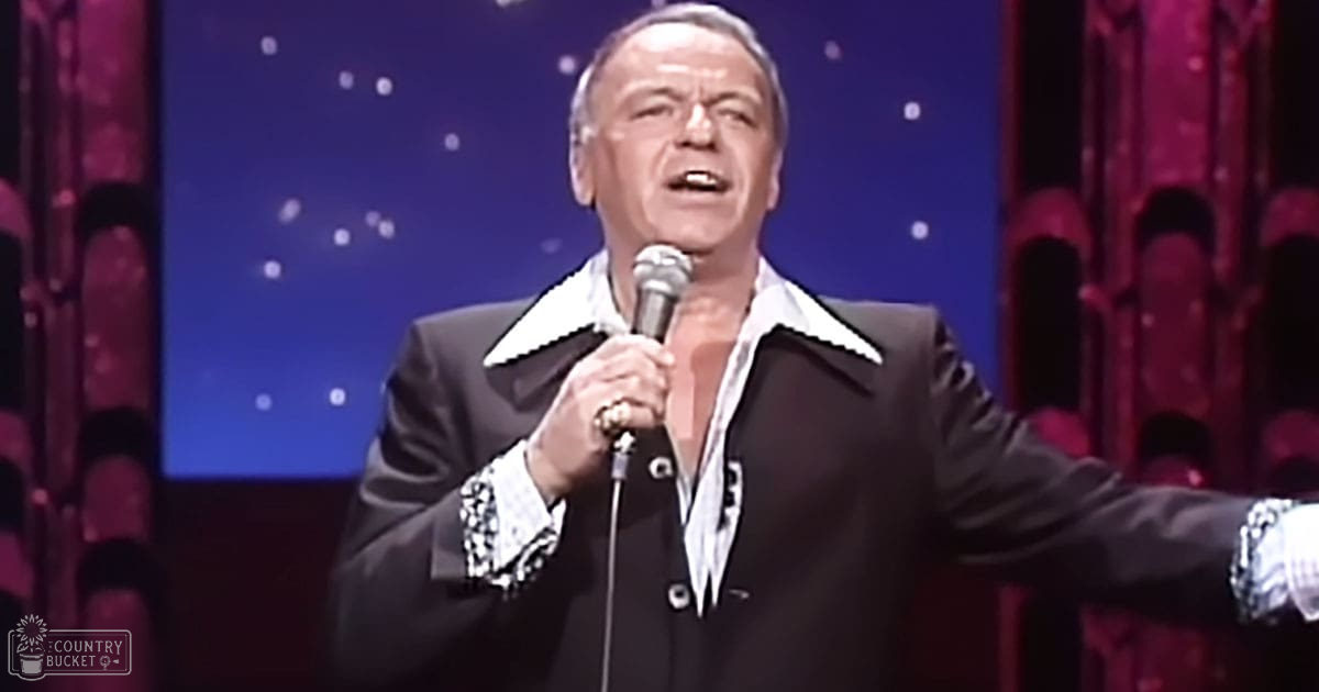 An adult male performer in a black suit jacket with white lapels and patterned cuffs, holding a microphone on an indoor stage backdrop with a starry night sky design.
