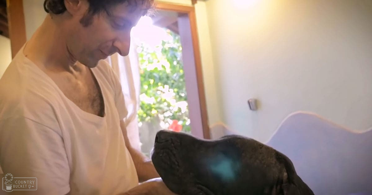A middle-aged man interacts with a French Bulldog in a home setting, surrounded by light blue furniture and greenery visible through the window.