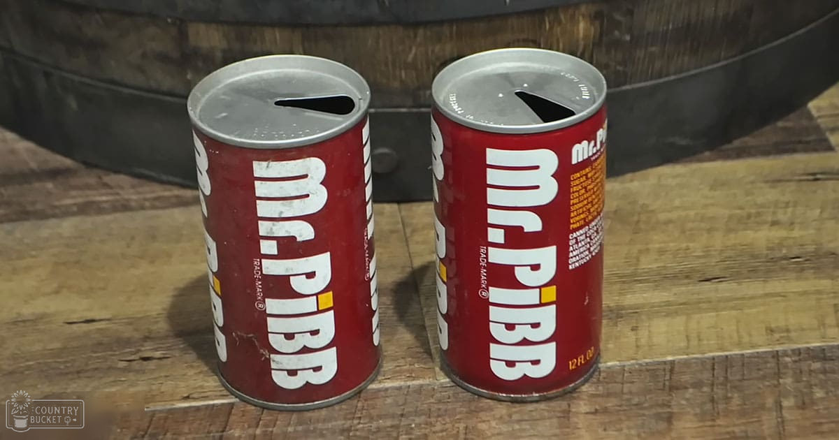 Two Mr. Pibb soda cans with red bodies, white text, 12 fl oz size displayed on a wooden surface;