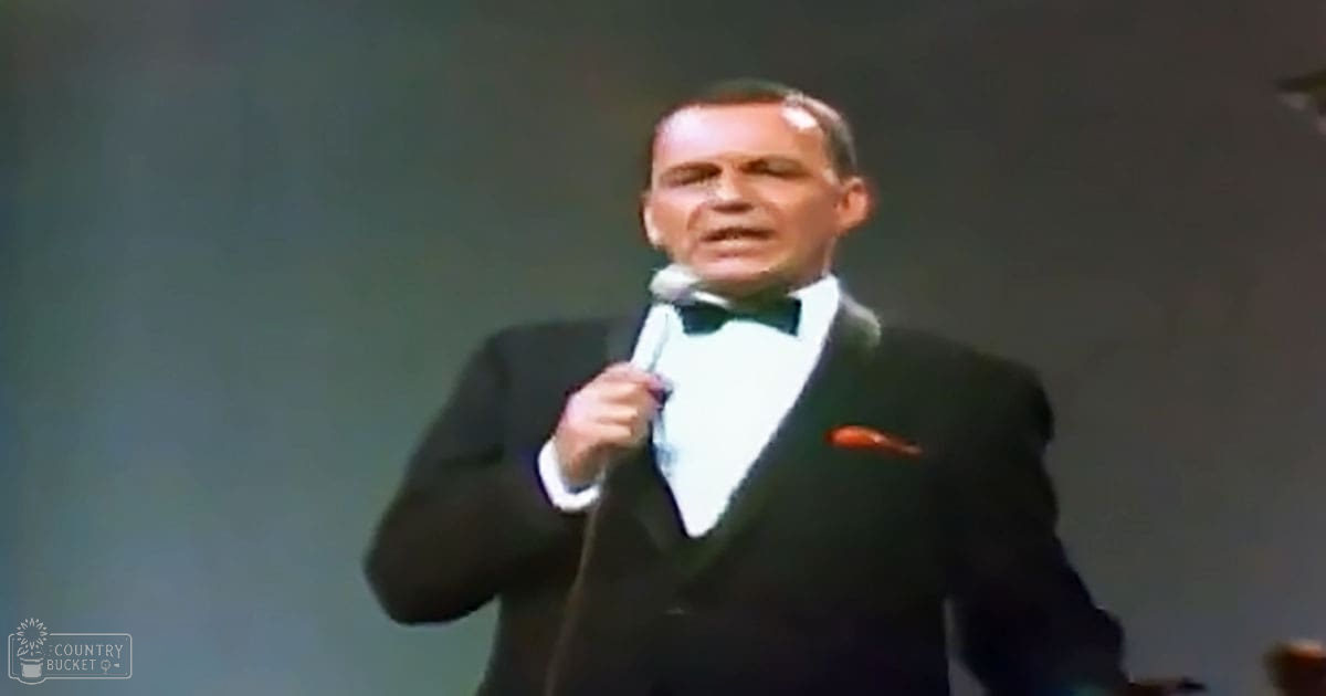 A middle-aged male performer in a well-fitted black suit with a white shirt and dark bow tie, standing against an indoor stage backdrop.