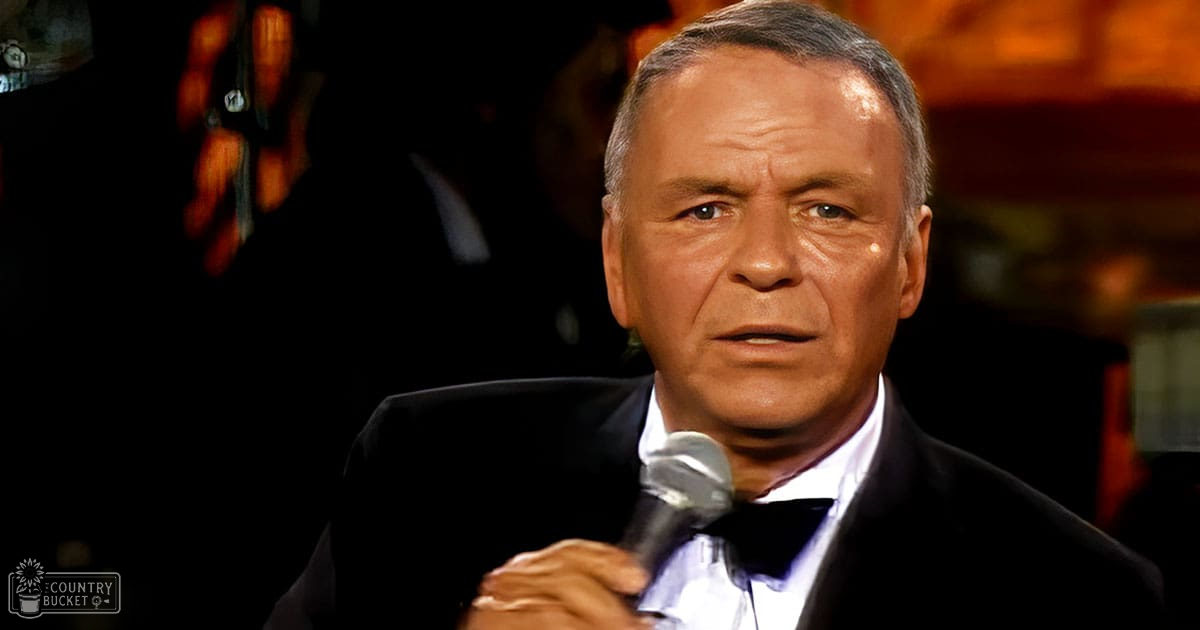 A middle-aged man wearing a black tuxedo with white dress shirt and bow tie holds a microphone at an evening formal event.