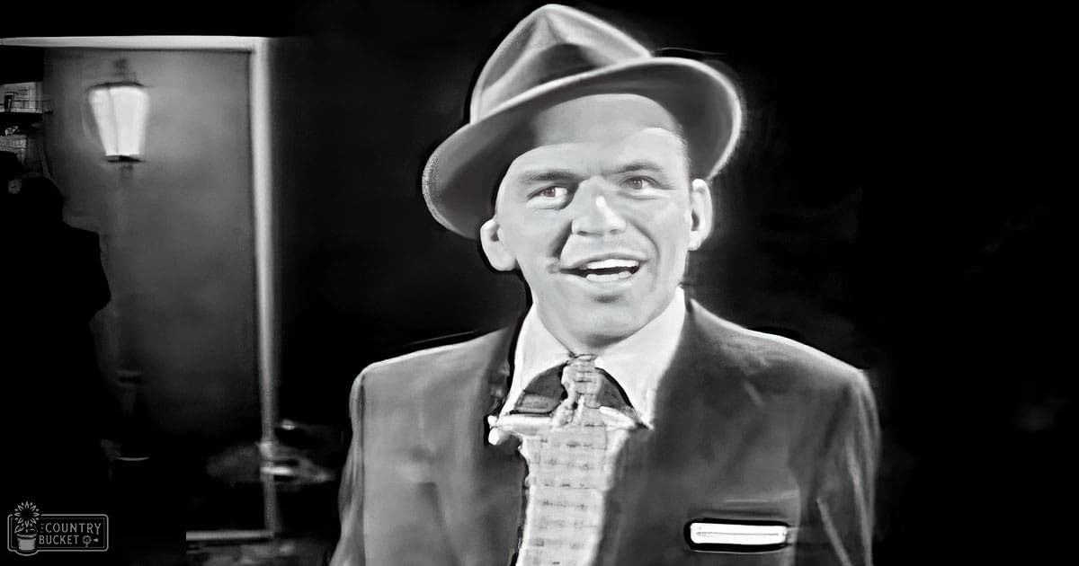 Adult male wearing a mid-20th-century suit jacket, patterned tie, fedora hat, in an indoor setting with furniture and possibly performance equipment visible.