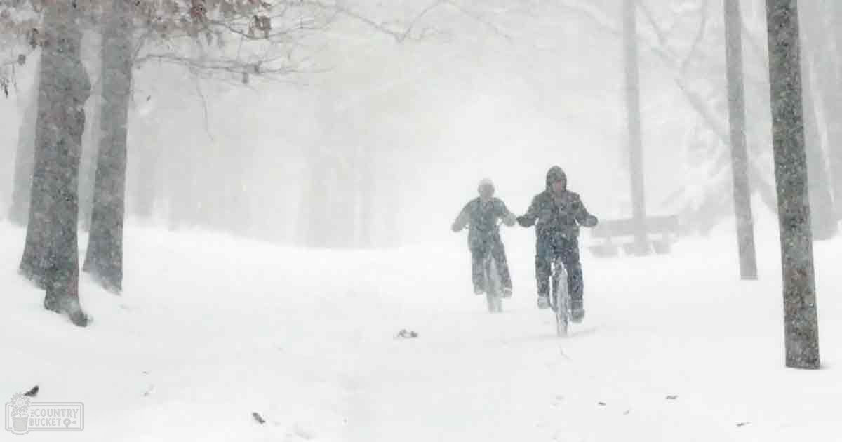 Two adults riding bicycles in a snowy forest during winter with overcast light.