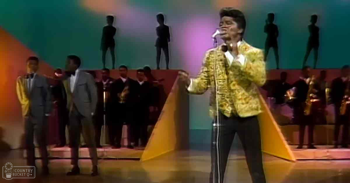 A vibrant nighttime indoor stage performance with a performer in a shiny gold jacket and patterned design, accompanied by male singers and musicians playing brass instruments against a backdrop of silhouettes and colorful lighting.