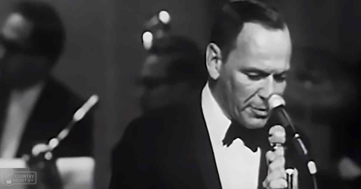 A middle-aged male in a dark suit jacket and white shirt with a bow tie performs on stage, suggesting a live music event.