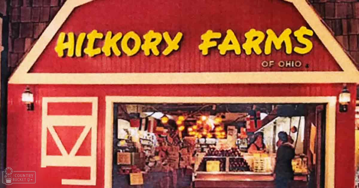 A storefront for 'Hickory Farms of Ohio' with shelves stocked inside a retail store, warmly lit interior, red and yellow signage, evening or night time setting.
