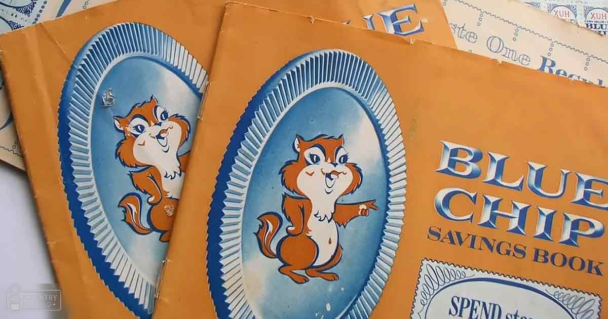A cartoon chipmunk character with orange and white fur on a Blue Chip Savings Book cover in an indoor home setting during daytime.