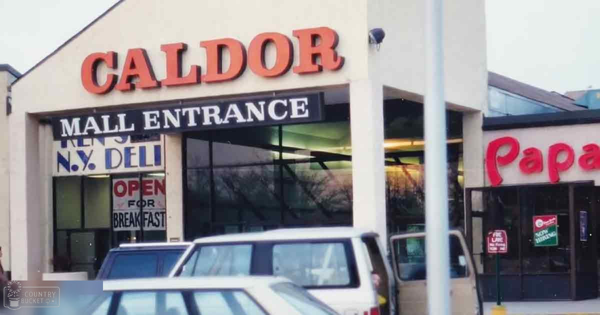 Urban mall entrance, bare trees suggest late fall or winter, overcast sky, red Caldor sign prominent.