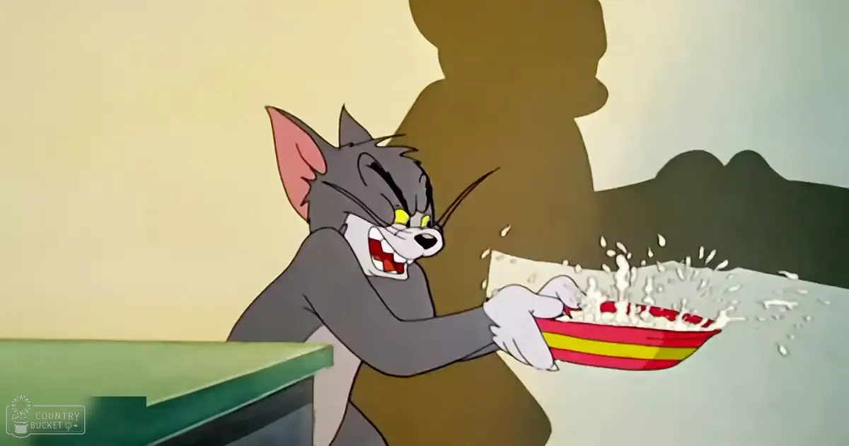 An adult gray tabby cat with yellow eyes and white paws, striped coat, cartoon setting, green table, indoor environment, artificial lighting