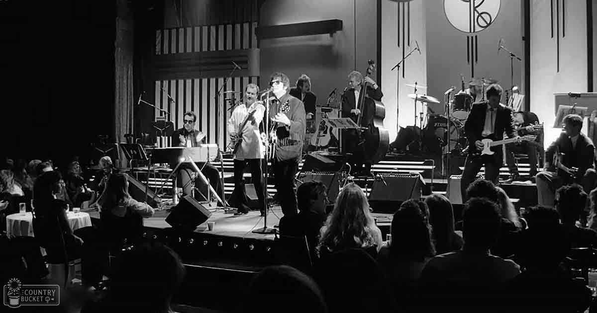 Live music performance with mid-20th century audience in dimly lit concert hall; performers on stage with guitars, microphones, and stage equipment.