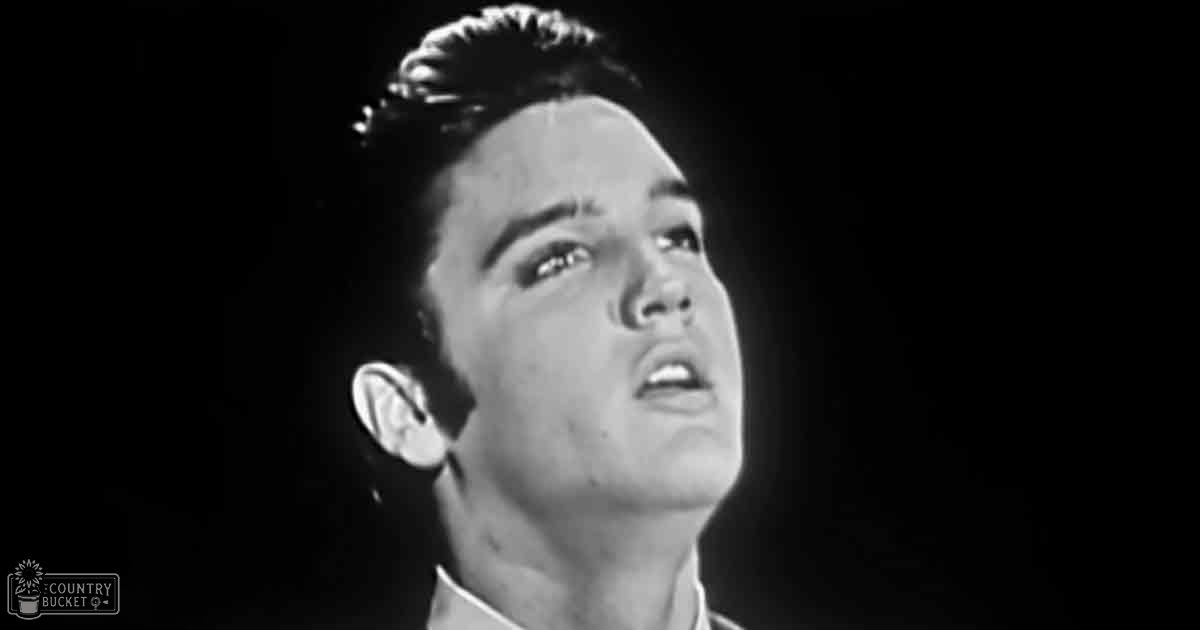 A young adult male wearing a stiff, classic collared shirt against a dark indoor background with focused lighting.