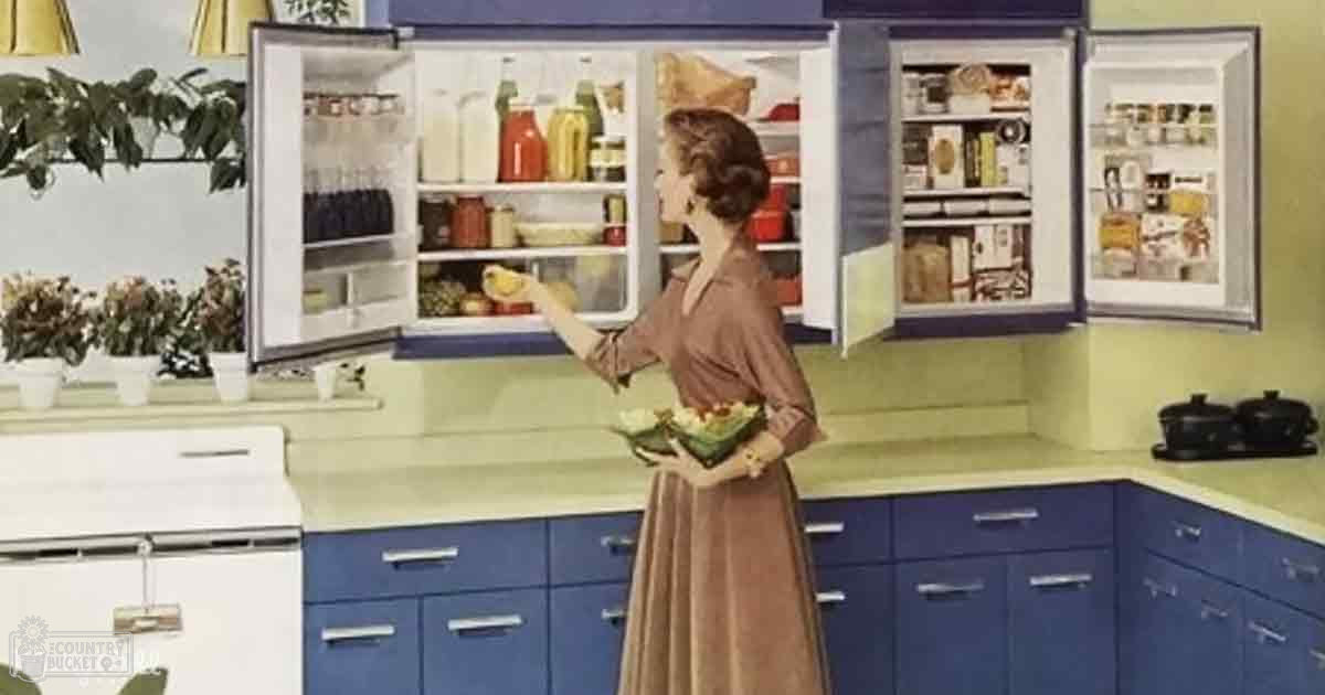 A woman in a mid-20th century-style long-sleeved dress holding flowers, standing in a kitchen with blue cabinets, white stove, and potted plants on the windowsill.