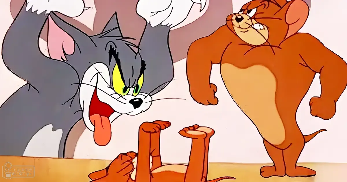 A gray cat with white fur around his muzzle, chest, and paws, green eyes, and a red collar stands indoors near an orange mouse wearing no clothing or accessories. The setting appears to be an indoor space possibly resembling a kitchen or dining area.