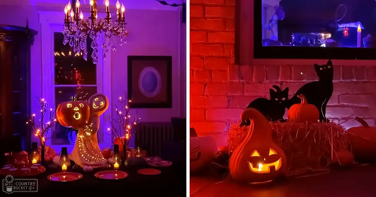 Halloween-themed indoor setting with chandelier, carved pumpkins, black cat cutouts, and lit trees in a cozy evening ambiance.