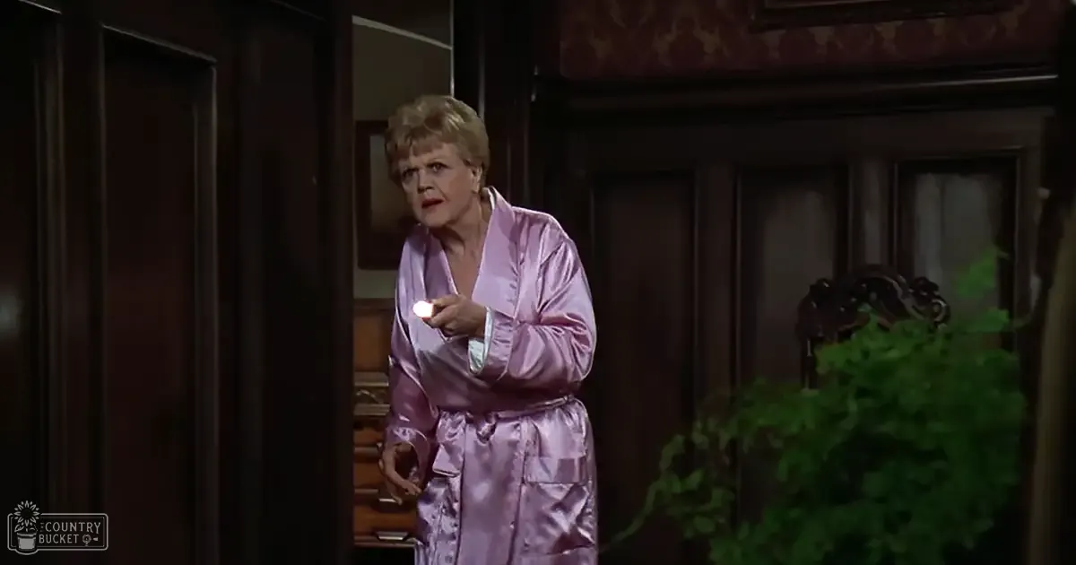 An older adult woman in a domestic setting, wearing a loose, collarless silk robe with long sleeves, indoors with wooden paneling and a mirror reflecting part of the room.
