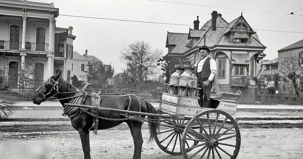 A milkman in St. Bernard Parish, Louisiana, with a horse-drawn cart, surrounded by Victorian-style houses against a backdrop of late spring to early fall foliage.