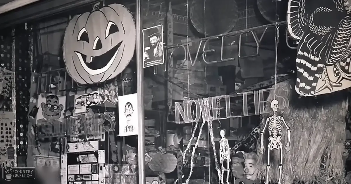 Halloween-themed shop window display in an urban area with jack-o'-lanterns, skeletons, and novelty posters.