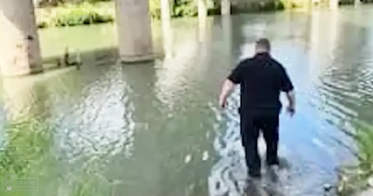 An adult male walking through floodwaters under an overpass in a spring or summer urban setting with muted greenery and grayish tones.