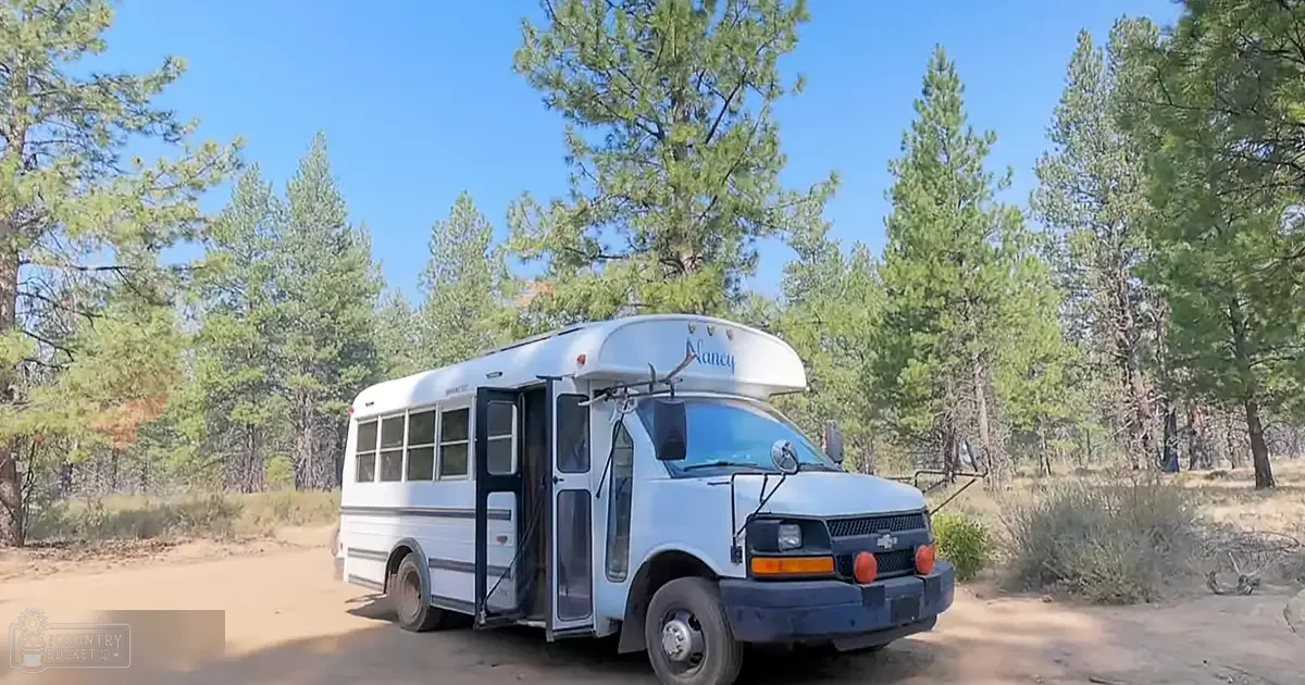 A white bus named 'Nancy' parked on a dirt road amidst tall pine trees in a rural, natural setting with clear blue skies.