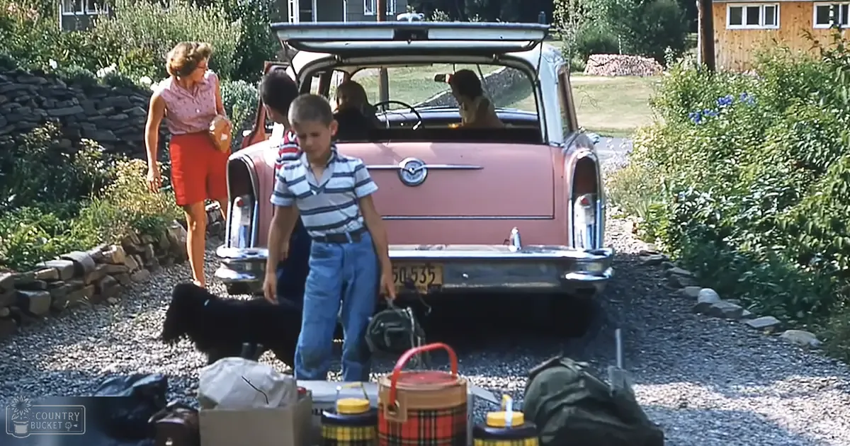 A young boy in a striped shirt stands near an older model station wagon with a dog inside, amidst picnic items and lush greenery.