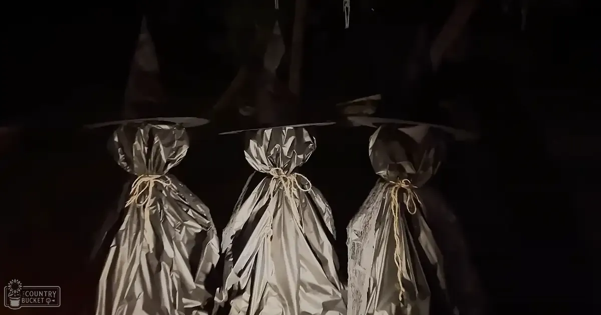Young adult females in silver witch costumes, likely part of a Halloween display at night.
