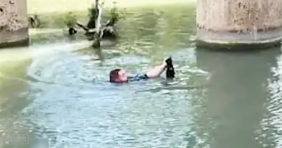 A medium-sized dog with a dark collar swims towards an adult male wearing dark swim trunks in a poolside setting with greenery and structures suggesting spring or summer.