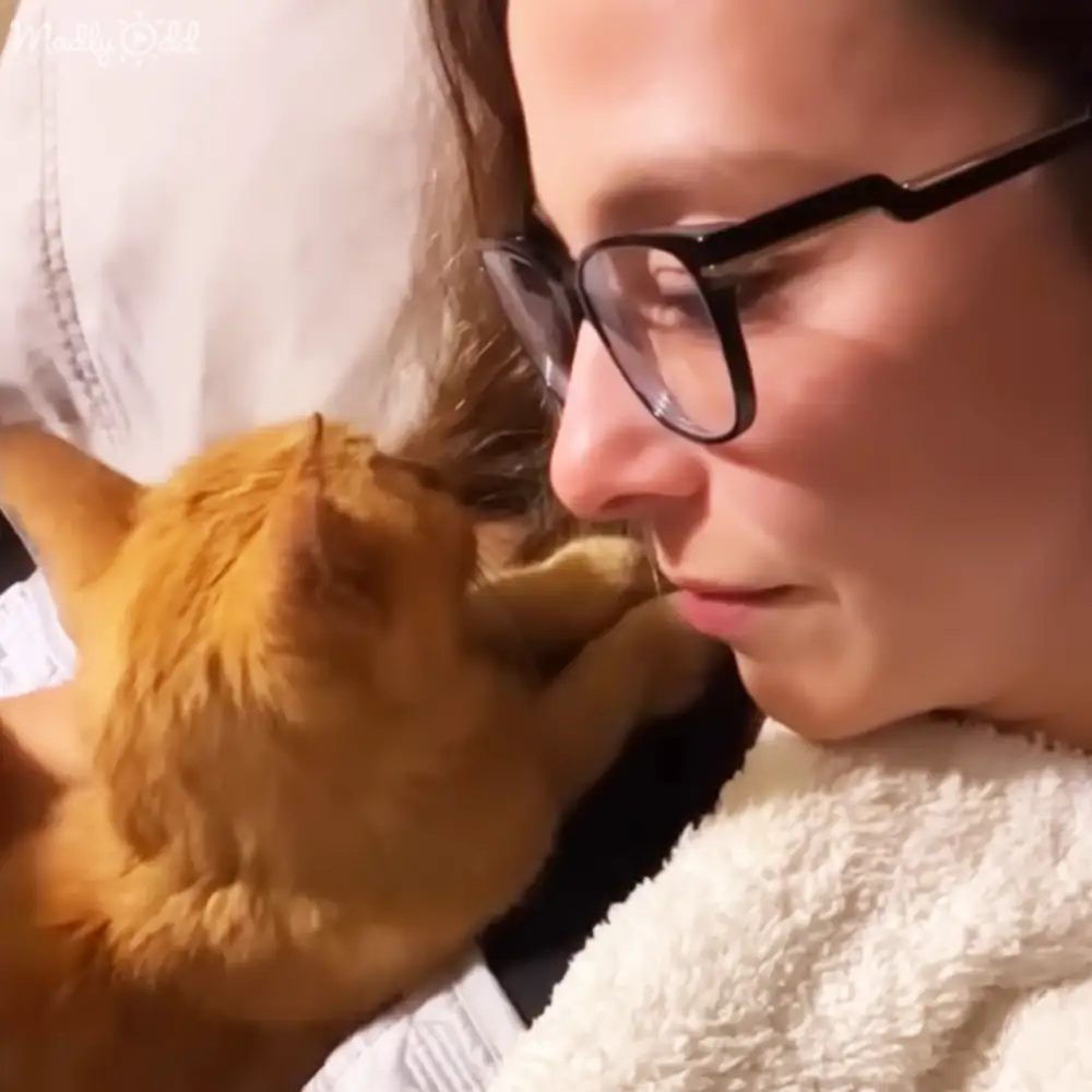 An adult female wearing a white robe or light jacket, interacting with an orange tabby cat in a softly lit indoor setting, possibly a living room.