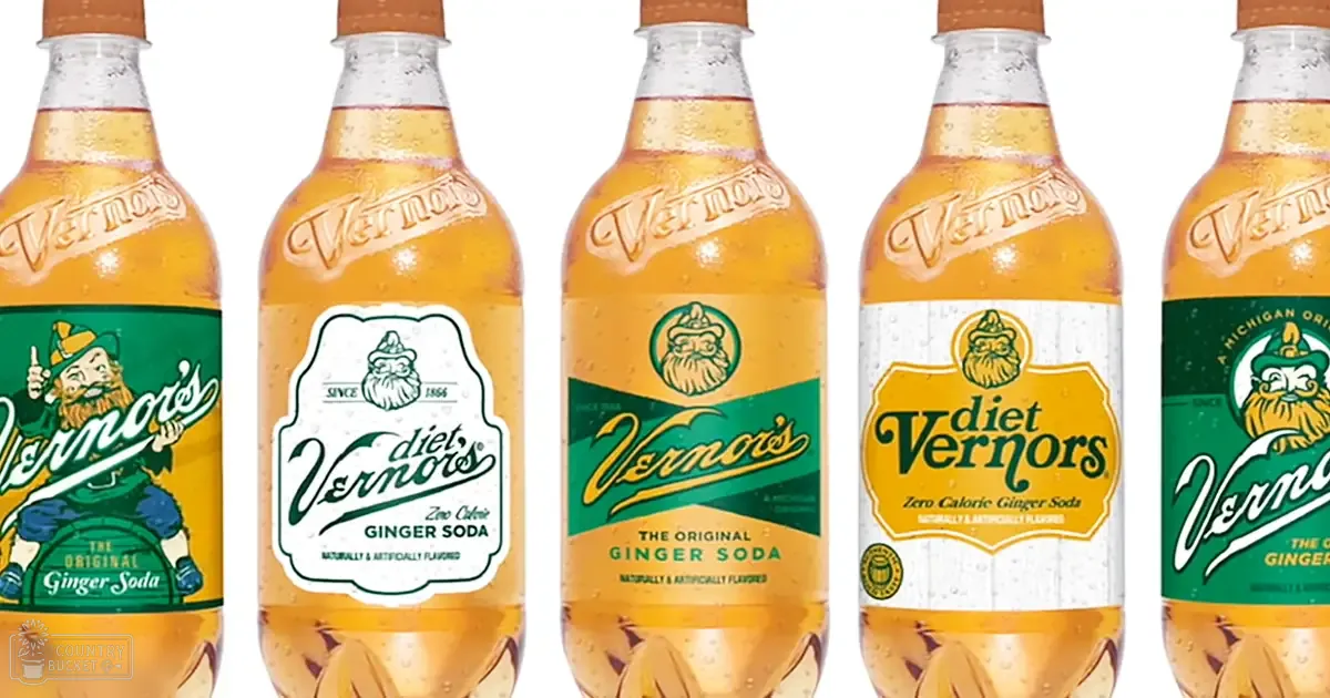 Five Vernors Ginger Soda bottles, studio setting with plain white backdrop; orange liquid, green labels, yellow accents on white background