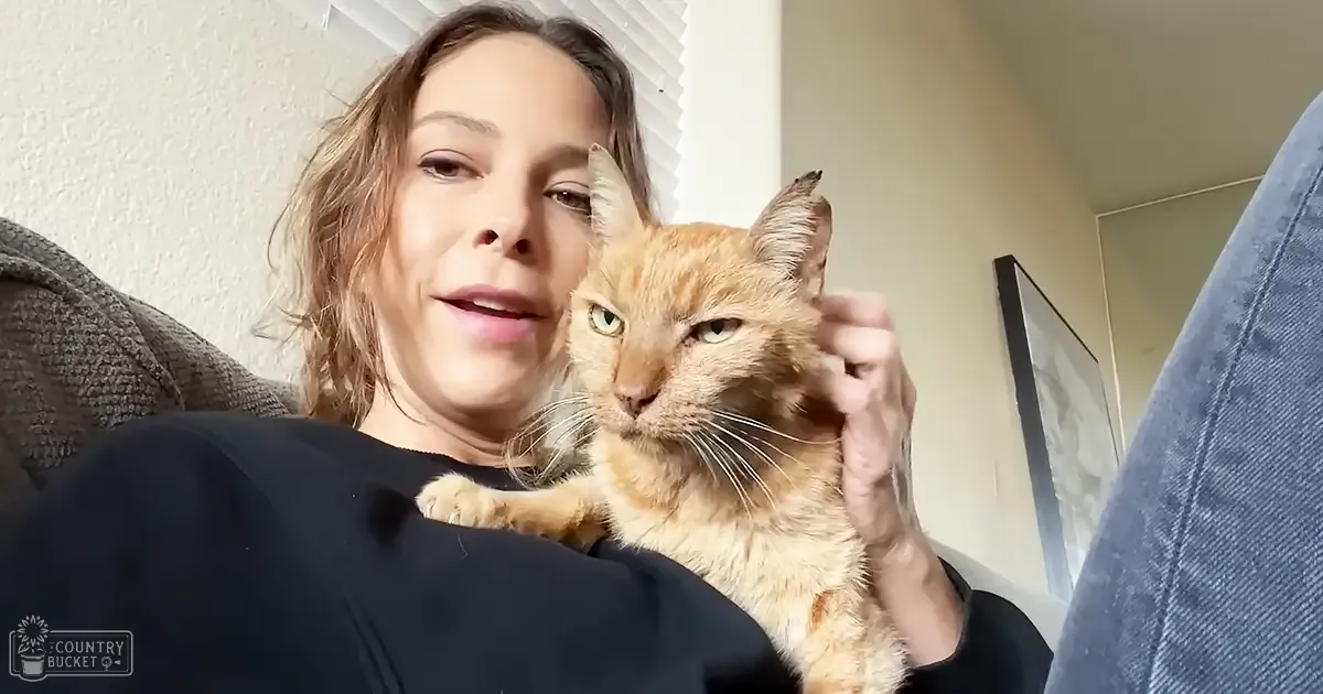 A middle-aged woman with an orange tabby cat rests on a gray cushioned chair in a living room, surrounded by neutral tones and soft natural light.